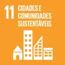 ODS 11