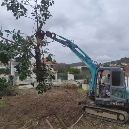 Limpeza de terrenos