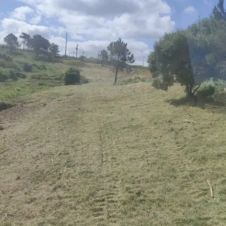 Limpeza de terrenos