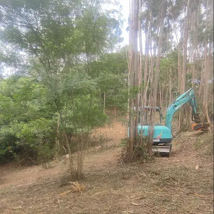 Limpeza de terrenos