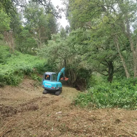 Limpeza de terrenos