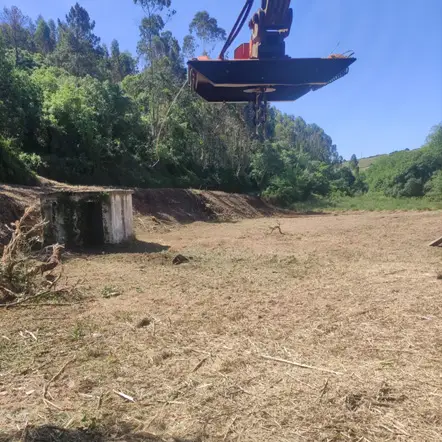 Limpeza de terrenos